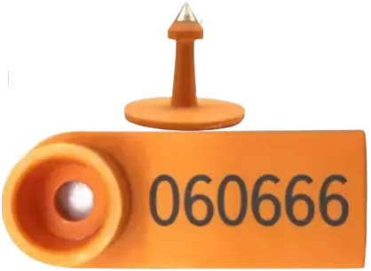 Electronic RFID Ear Tags for Sheep